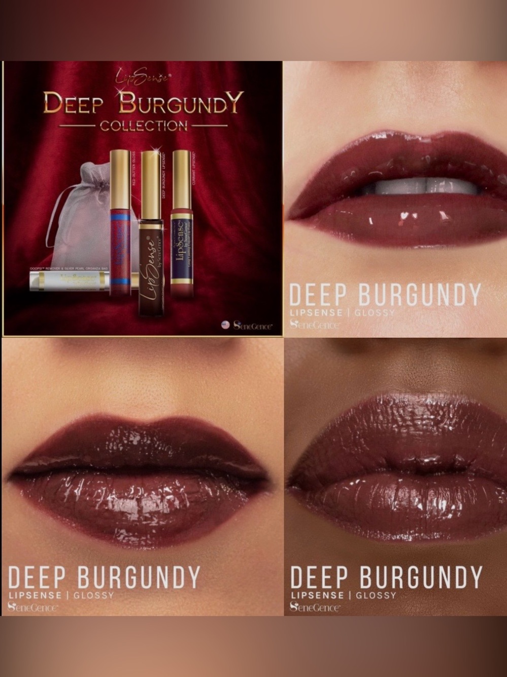 LipSense Deep Burgundy Glossy Lip Color